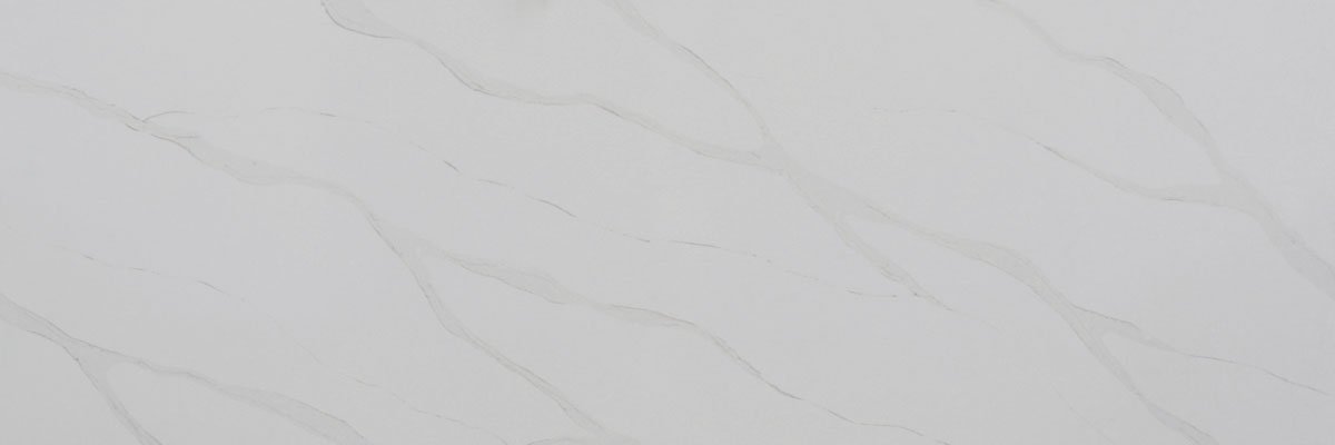 Bettoglio BQ8800