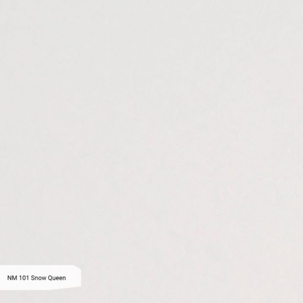 NM 101